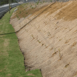 Coir and Jute Mats