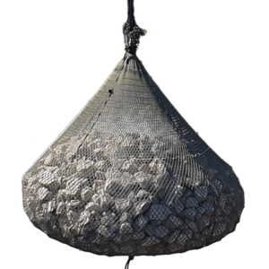 Aqua Rock Bag